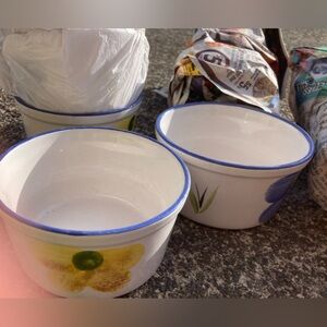7 Floral Ramekin Bowls with Blue Trim